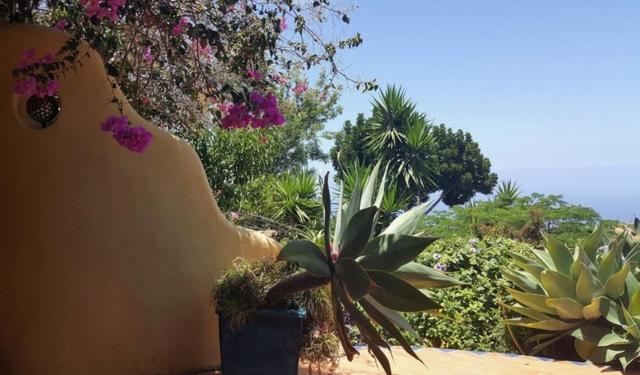Luna - Finca Manana Los Llanos De Aridane Eksteriør billede